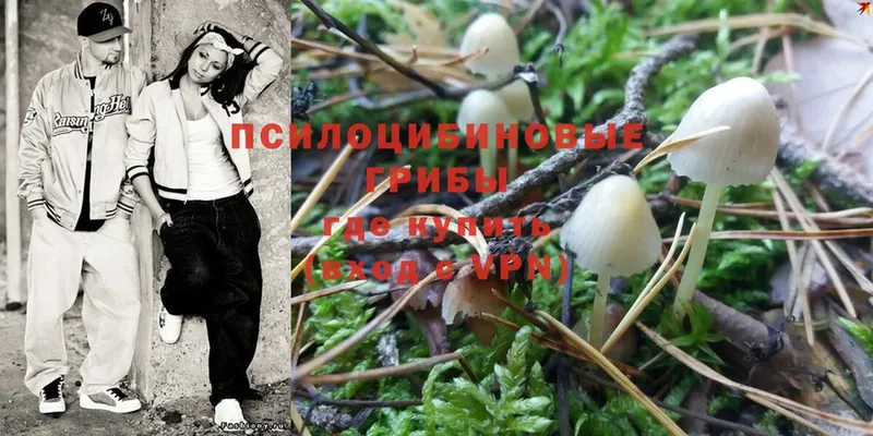 Галлюциногенные грибы MAGIC MUSHROOMS  Асбест 